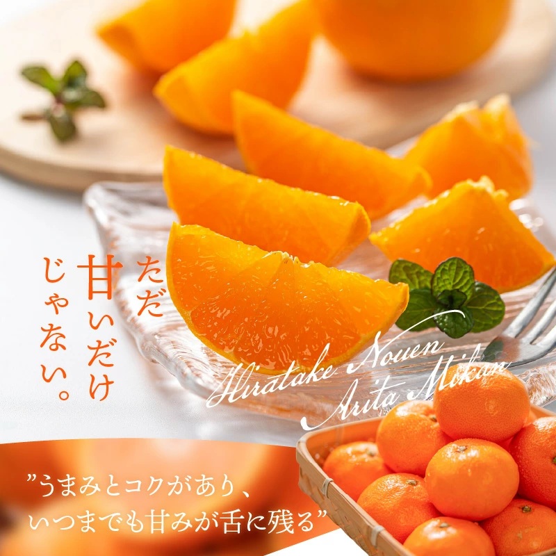 有田みかん - 専用出品です　有田みかん　20 aridamikan_01a.jpg