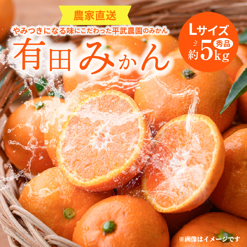 ZE6306n_【先行予約】和歌山県産 有田の 八朔 (はっさく) 6玉 L