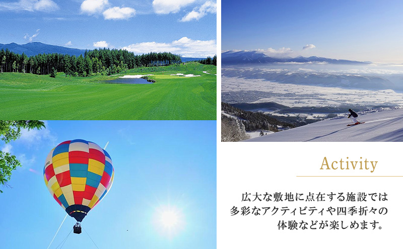 新富良野プリンスホテル 宿泊券 ダブルルーム  (ホテル 宿泊 素泊まり チケット 旅行 体験 トラベル リゾート 北海道 富良野市 ふらの)