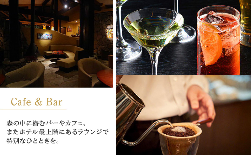 新富良野プリンスホテル 宿泊券 ダブルルーム  (ホテル 宿泊 素泊まり チケット 旅行 体験 トラベル リゾート 北海道 富良野市 ふらの)