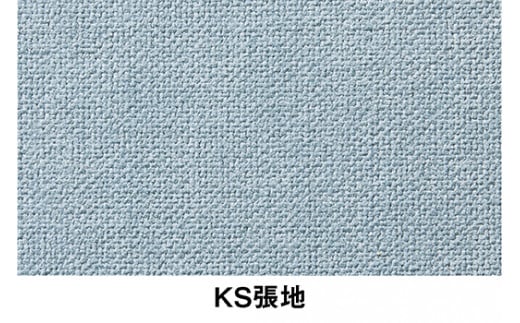 イトーキ『バーテブラ03』5本脚  抵抗付きウレタンキャスター KS張地：シーブリーズ（KG825KSM1F25CF）【EI129W1】