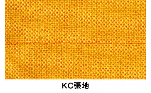 イトーキ『バーテブラ03』5本脚  抵抗付きウレタンキャスター KC張地：ゼスト(KG825KCM1G14CF)【EI133U1】