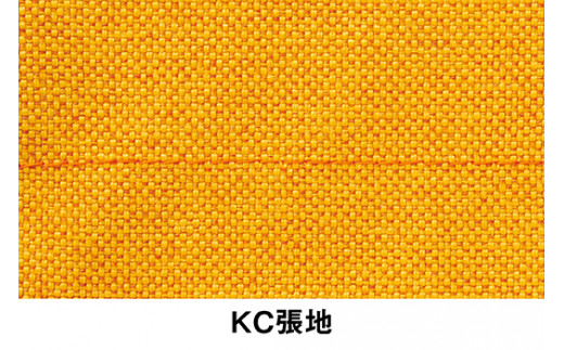 イトーキ『バーテブラ03』5本脚  抵抗付きウレタンキャスター KC張地：ゼスト(KG825KCM1L44CF)【EI140U1】