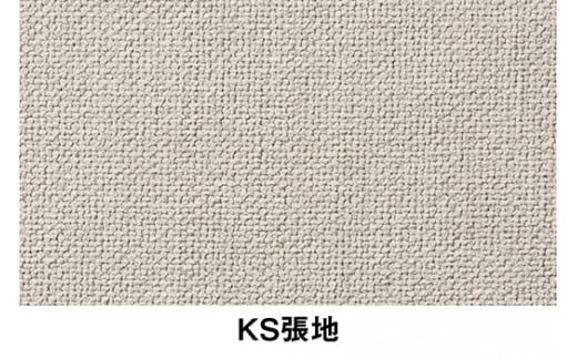イトーキ『バーテブラ03』5本脚  抵抗付きウレタンキャスター KS張地：グレイン(KG825KSM1L413CF)【EI145U1】
