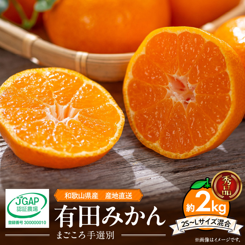 ZE6415_Y_【直営限定】【秀品】有田みかん 和歌山県有田産 2kg (2S～L
