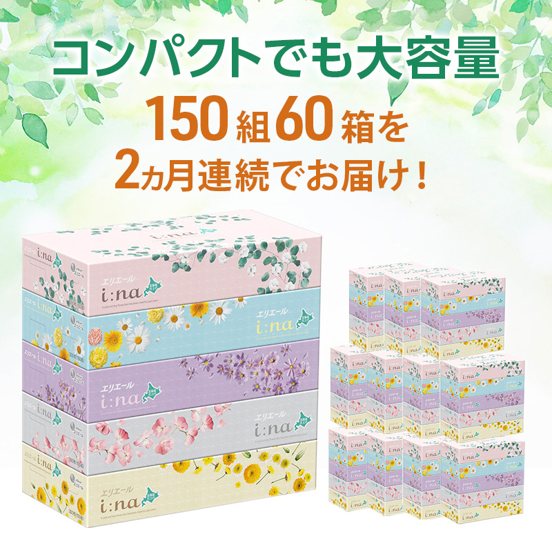 【2ヵ月連続お届け・計120箱】エリエール i:na (イーナ) 北海道 ティシュー 150組5箱 12パック ティッシュペーパー 箱ティッシュ まとめ買い 防災 常備品 備蓄品 消耗品 日用品 生活必需品 送料無料 赤平市