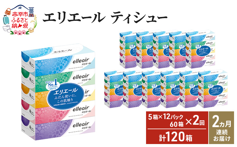 【2ヵ月連続お届け・計120箱】エリエール ティシュー 180組5箱 12パック ティッシュペーパー 箱ティッシュ ボックスティッシュ 紙 まとめ買い 防災 常備品 備蓄品 消耗品 日用品 生活必需品 送料無料 赤平市
