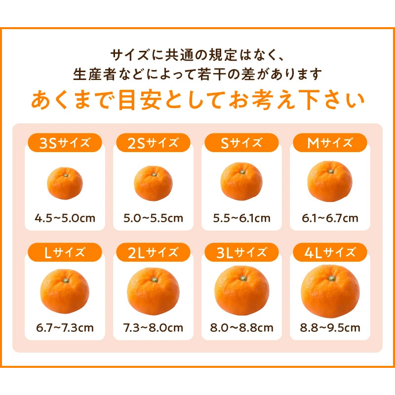 和歌山県紀南産　露茜5㎏ 秀、優品　2L-L 和歌山県紀南産 露茜5㎏ 秀、優品 2L-L 果物