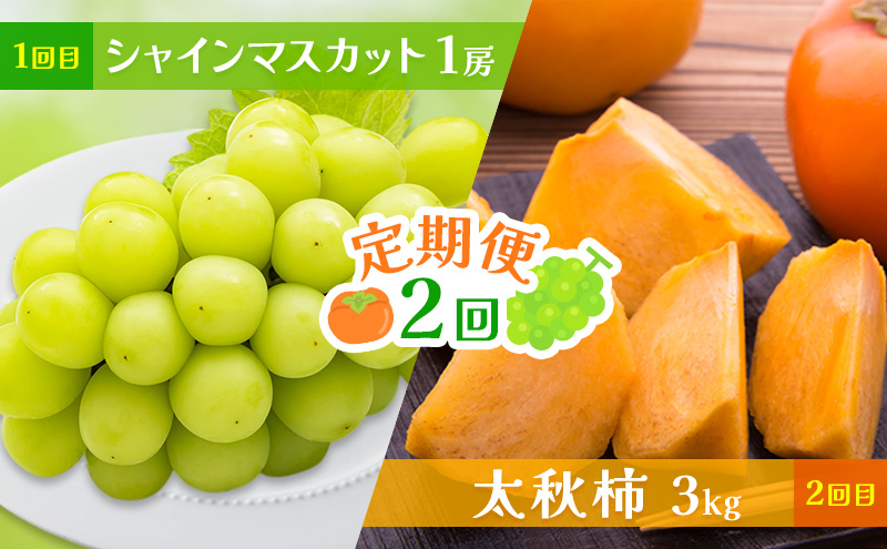 �y���������q�s�z����� 2�� �V���C���}�X�J�b�g�E���H�` ��Cafe ���� �ʕ� �t���[�c �V���C�� �}�X�J�b�g �` ���z���s�F�k�C���E���k�E����E����