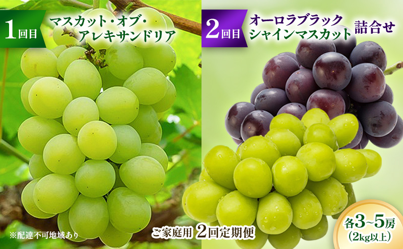 【2026年先行予約】ご家庭用「 マスカット ・オブ・ アレキサンドリア 」＆「 オーロラブラック ・ シャインマスカット の詰合せ」2回定期便 各3～5房(2kg以上) フルーツ 果物 数量限定 里庄町 リアムfarm