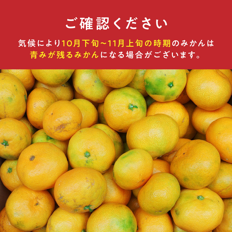 BK6015_【2026年先行予約】庄助みかん (家庭用・サイズ混合)  5kg 