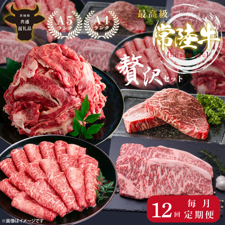 12回定期便】最高級A4.A5ランク 常陸牛贅沢セット【人気肉 お肉