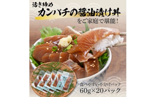 訳あり 活き締めカンパチの醤油漬け丼(20P)セット