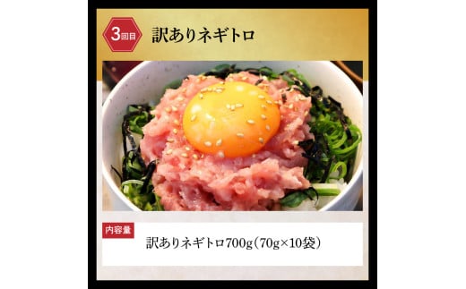 土佐市の人気海鮮返礼品だけを集めた3か月定期便 訳あり鰹のたたき1.6kg 訳あり海鮮漬け丼10パック(5種×2P)セット 訳ありネギトロ700g(70g×10袋) 