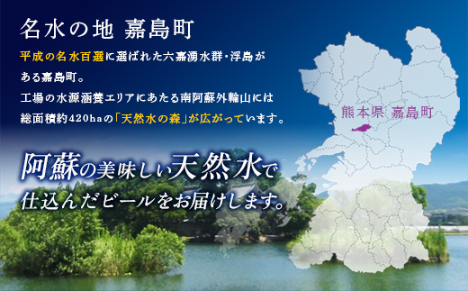FK7-0159_【プレミアムモルツ・サントリー生ビール交互4回定期便】各350ml ×24本 熊本県 嘉島町 ビール ギフト 贈り物 酒 アルコール