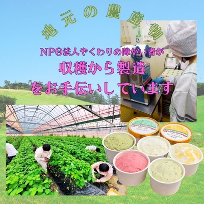 デルソーレ　ジェラート★クラウンメロン★6個　農福 お菓子 スイーツ ひんやりスイーツ デザート 食後 おやつ アイス 地元食材使用 フルーツジェラート メロンジェラート 