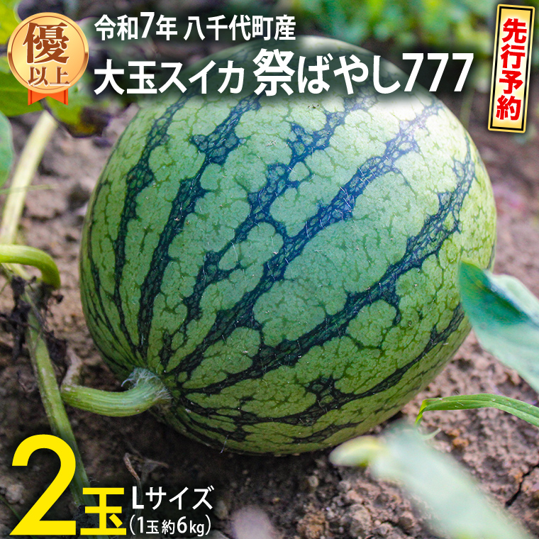 先行予約 2025年6月中旬 以降発送開始】 令和7年産 八千代町産