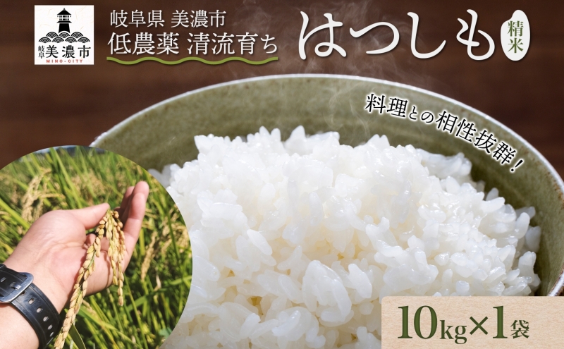 令和7年産 はつしも 精米 10kg×1袋 低農薬 清流育ち 新米 お米 白米 米 ごはん 米 ご飯 ハツシモ R7年産 あっさり ふっくら ブランド米 大粒 幻の米 お取り寄せ 産地直送 送料無料 美濃グリーン 岐阜県 美濃市