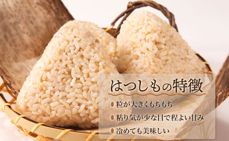 令和7年産 はつしも 玄米 10kg×1袋 低農薬 清流育ち 新米 お米 米 ごはん ご飯 ハツシモ R7年産 あっさり ふっくら ブランド米 大粒 幻の米 お取り寄せ 産地直送 送料無料 美濃グリーン 岐阜県 美濃市