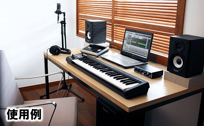 Roland A-49 MIDIキーボードコントローラー Roland A-49 (ブラック) MIDIキーボード・コントローラー 49鍵盤