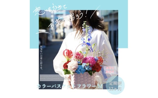 ym|zs12ցtG߂̐ԃJ[oXPbgt[M J[oXPbg ohoXPbg t[oXPbg G  u[X^[ gRMLE   v[g 蕨