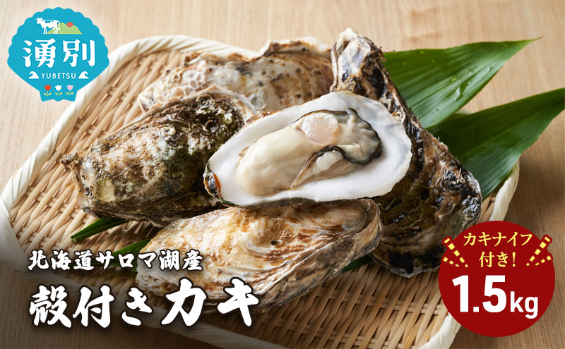 北海道 サロマ湖産 殻付き カキ 1.5kg カキナイフ付 牡蠣 海鮮 魚介 国産 貝付き 生牡蠣 生食 焼き牡蠣 蒸し牡蠣 