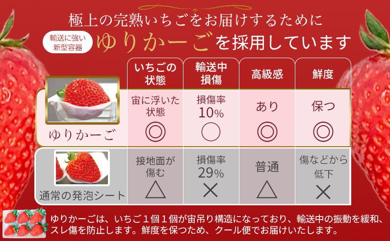 奈良県葛城市のふるさと納税 ［先行予約］【 いちご１２月から計4回定期便 】 ◆古都華　約３００g×２パック×４回 ◆ 【今朝摘みの丸笑いちご園】 ／ フルーツ いちご 苺 イチゴ 果物 くだもの 新鮮 完熟 朝採り 高級 希少品種 甘い