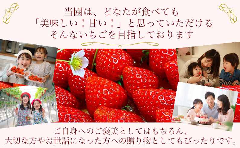 奈良県葛城市のふるさと納税 ［先行予約］【 いちご１２月から計4回定期便 】 ◆古都華　約３００g×２パック×４回 ◆ 【今朝摘みの丸笑いちご園】 ／ フルーツ いちご 苺 イチゴ 果物 くだもの 新鮮 完熟 朝採り 高級 希少品種 甘い