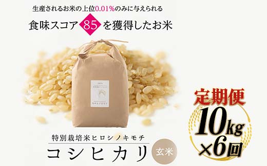【6回定期】特別栽培米 コシヒカリ ヒロシノキモチ 玄米 10kg 総計60kg 陽咲玲 米 お米 コメ ご飯 ごはん 富山県産 富山県 立山町 F6T-638
