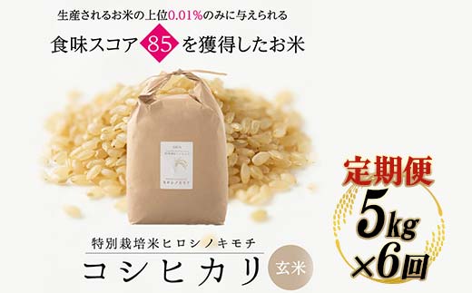 ≪先行予約≫【6回定期】特別栽培米 コシヒカリ ヒロシノキモチ 玄米 5kg 総計30kg 陽咲玲 米 お米 コメ ご飯 ごはん 富山県産 富山県 立山町 F6T-894