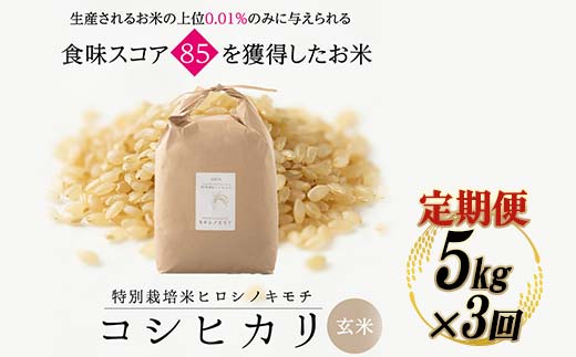 【3回定期】特別栽培米 コシヒカリ ヒロシノキモチ 玄米 5kg 総計15kg 陽咲玲 米 お米 コメ ご飯 ごはん 富山県産 富山県 立山町 F6T-634