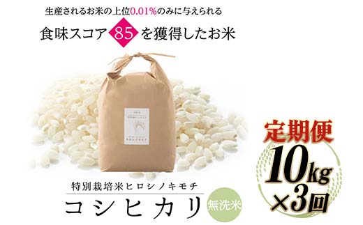 【3回定期】特別栽培米 コシヒカリ ヒロシノキモチ 無洗米 10kg 総計30kg 陽咲玲 米 お米 コメ 無洗米 ご飯 ごはん 富山県産 富山県 立山町 F6T-631