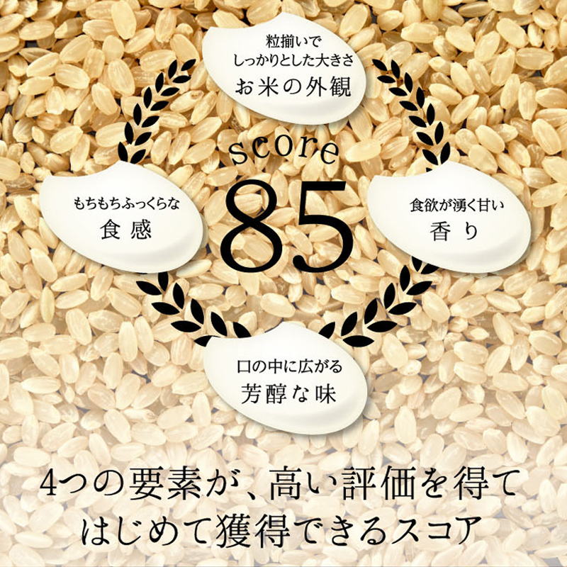 ≪先行予約≫【9回定期】特別栽培米 コシヒカリ ヒロシノキモチ 無洗米 10kg 総計90kg 陽咲玲 米 お米 コメ 無洗米 ご飯 ごはん 富山県産 富山県 立山町 F6T-892
