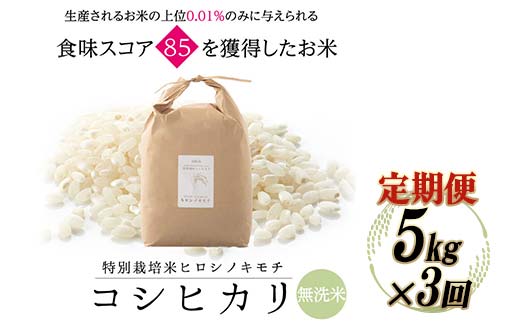 ≪先行予約≫【3回定期】特別栽培米 コシヒカリ ヒロシノキモチ 無洗米 5kg 総計15kg 陽咲玲 米 お米 コメ 無洗米 ご飯 ごはん 富山県産 富山県 立山町 F6T-887