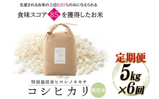≪先行予約≫【6回定期】特別栽培米 コシヒカリ ヒロシノキモチ 無洗米 5kg 総計30kg 陽咲玲 米 お米 コメ 無洗米 ご飯 ごはん 富山県産 富山県 立山町 F6T-888