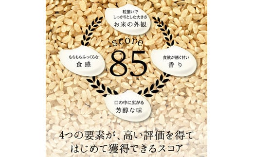 ≪先行予約≫富山県ブランド米 富富富 玄米 10kg ふふふ ブランド米 国産 米 お米 日本米 ギフト 贈り物 備蓄 防災 食品 陽咲玲 はるざれ F6T-904