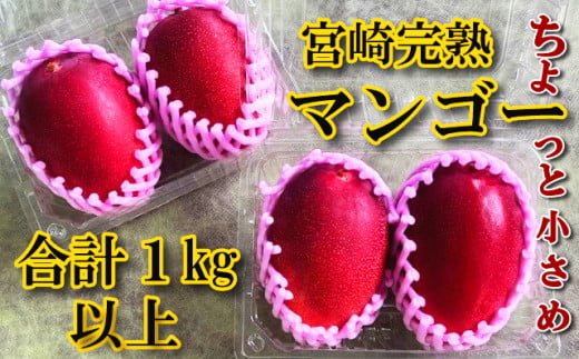 YMPML4 [先行予約・数量限定][訳あり]宮崎完熟マンゴーご家庭用小さめMLサイズ4玉[やました農園]