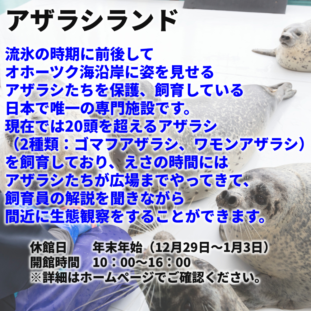24-122 【年内配送12月15日入金まで】ガリンコ号3 IMERU 冬期運航 流氷クルーズ乗船券（3施設入場券セット） within2025