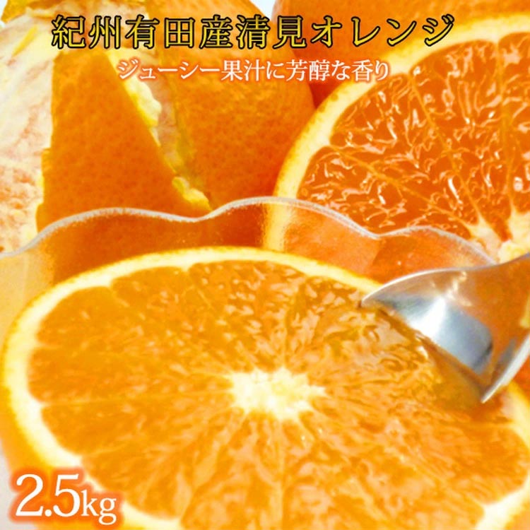 【和歌山県美浜町】とにかくジューシー清見オレンジ 2.5kg※2026年3月下旬頃?2026年4月中旬頃に順次発送予定