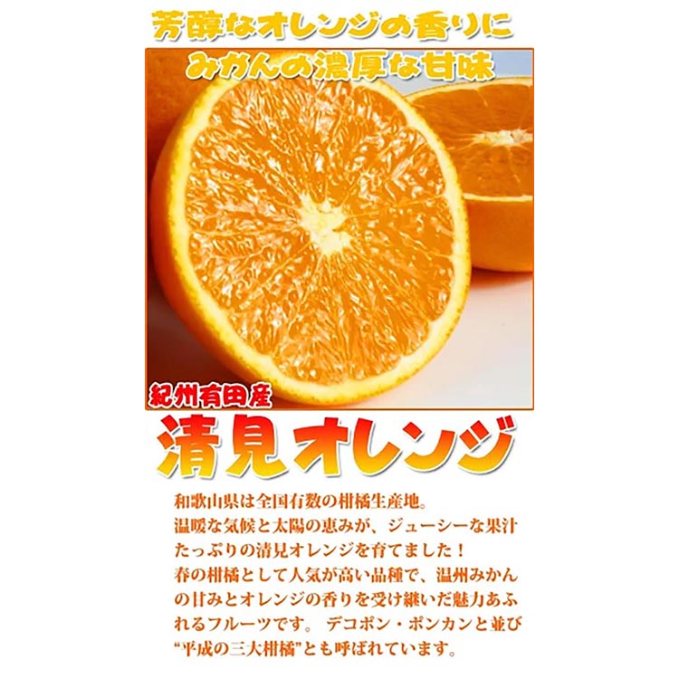 【ご家庭用訳アリ】紀州有田産清見オレンジ　5kg
※2026年3月下旬頃〜2026年4月中旬頃に順次発送予定