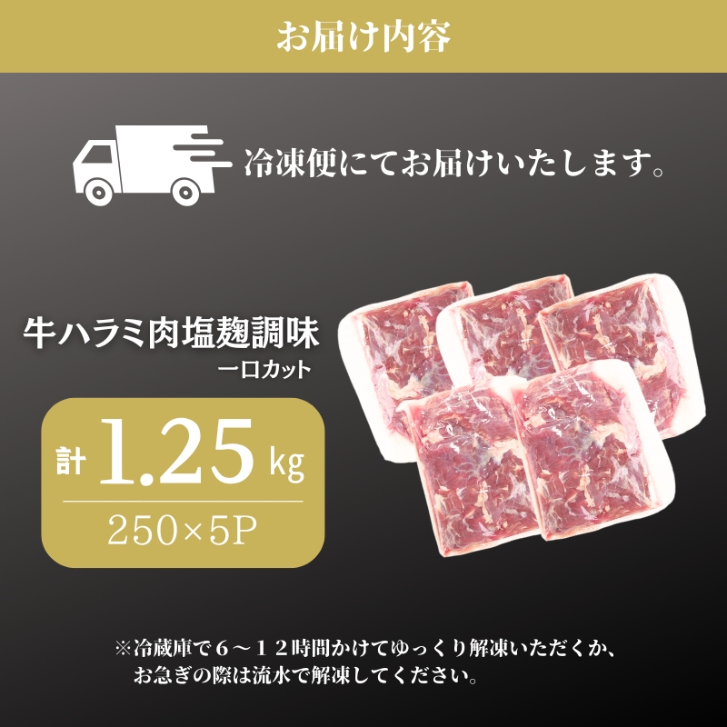 牛ハラミ肉 塩麹調味 一口カット 1.25kg (250g×5パック) セット 詰め合わせ 牛 牛肉 お肉 肉 牛ハラミ ハラミ ハラミ肉 味付け肉 味付き肉 小分けパック 小分け 焼肉 焼き肉 アウトドア キャンプ 京都 京都府 南丹市
