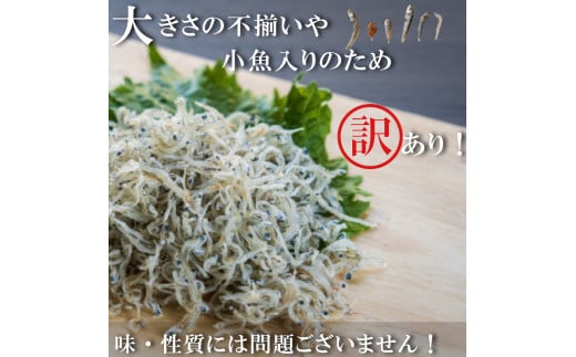 訳あり ちりめんじゃこ 100g～1.5kg 小分け 冷凍 ちりめん じゃこ 海鮮 海産物 ふりかけ 佃煮 ちりめん つくだに 魚 海鮮 ごはん 米 しらす おやつ さかな ご飯のお供 海の幸 ちりめん 魚介類 じゃこ チャーハン 乾物 ちりめんふりかけ ちりめんサラダ ちりめん おつまみ ちりめん 丼  おすすめ 人気 愛知県 南知多町
