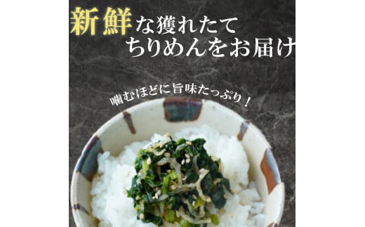 訳あり ちりめんじゃこ 100g～1.5kg 小分け 冷凍 ちりめん じゃこ 海鮮 海産物 ふりかけ 佃煮 ちりめん つくだに 魚 海鮮 ごはん 米 しらす おやつ さかな ご飯のお供 海の幸 ちりめん 魚介類 じゃこ チャーハン 乾物 ちりめんふりかけ ちりめんサラダ ちりめん おつまみ ちりめん 丼  おすすめ 人気 愛知県 南知多町