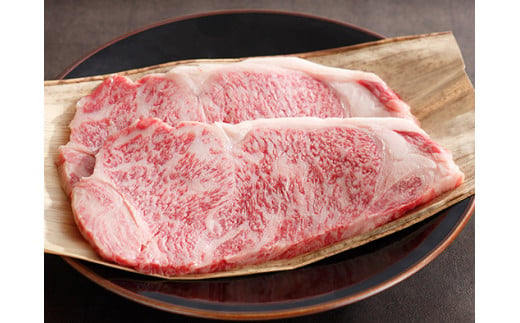 【定期便6回】カネ吉山本近江牛ごちそう定期便E【Y174W】