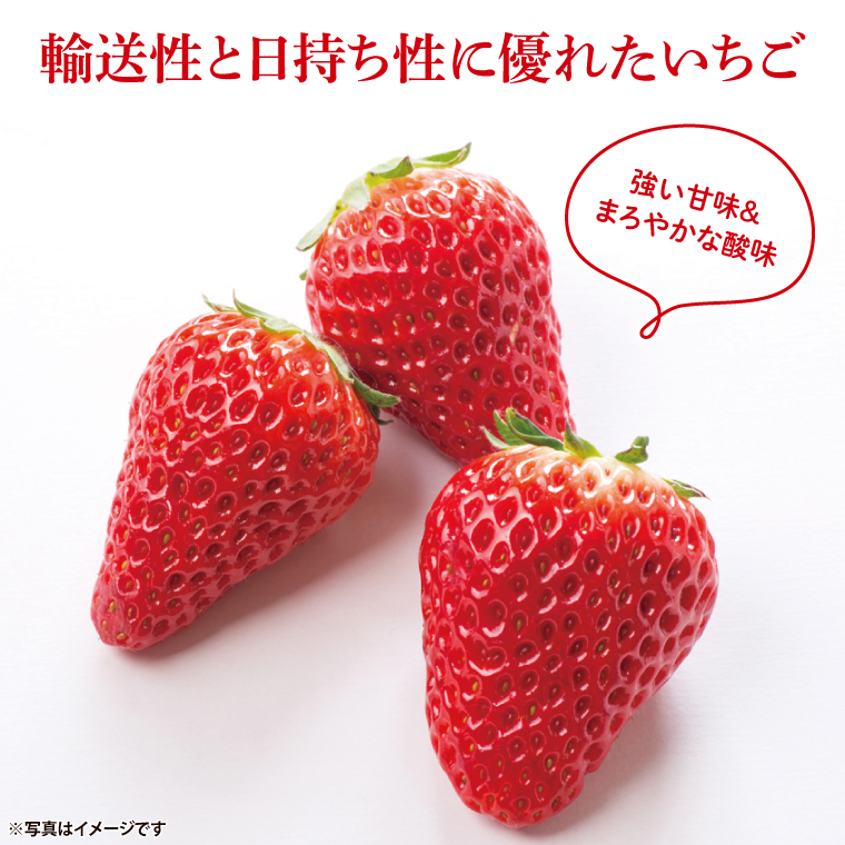 【茨城県共通返礼品/ 行方市産】【2026年1月中旬より順次発送】いちご 「やよいひめ」 約260gパック×4【イチゴ 苺 フルーツ 果物 甘い 】(CS103)