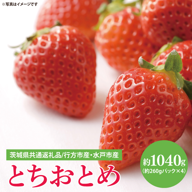 【茨城県共通返礼品/ 行方市産・水戸市産】【2026年1月中旬より順次発送】いちご 「とちおとめ」 約260gパック×4【イチゴ 苺 フルーツ 果物 甘い 大粒】(CS102)