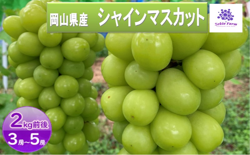 シャインマスカット 2kg 3房〜5房 葡萄 フルーツ 岡山 高梁市産 ぜきお農園 ぶどうclub 2026年 先行予約
