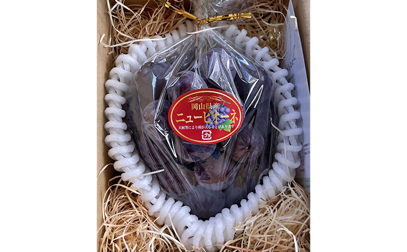 ぶどう 2026年 先行予約 ぶどう農園直送 朝採れ ニューピオーネ 大粒 1房(600g以上) ブドウ 葡萄 岡山県 赤磐市産 フルーツ 果物 ギフト