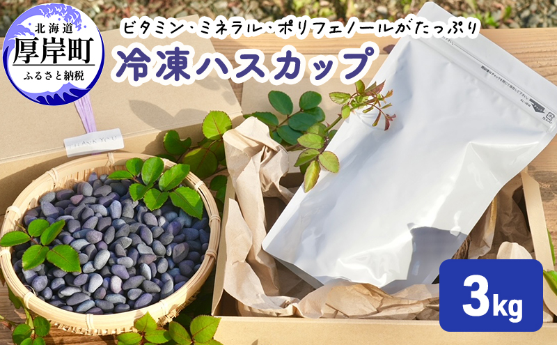 厚岸ハスカ 冷凍 ハスカップ 3kg 果物 