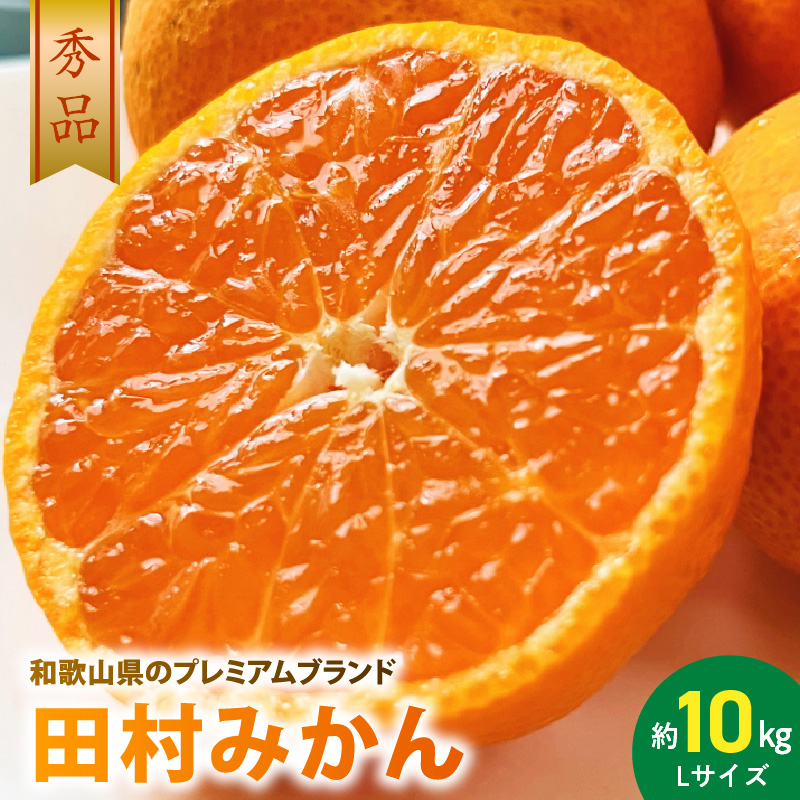 【和歌山県有田郡湯浅町】AB7304_ プレミアムブランド 田村みかん Lサイズ 秀品  約10kg _和歌山県産 蜜柑 ミカン フルーツ 果物 ギフト お歳暮 完熟